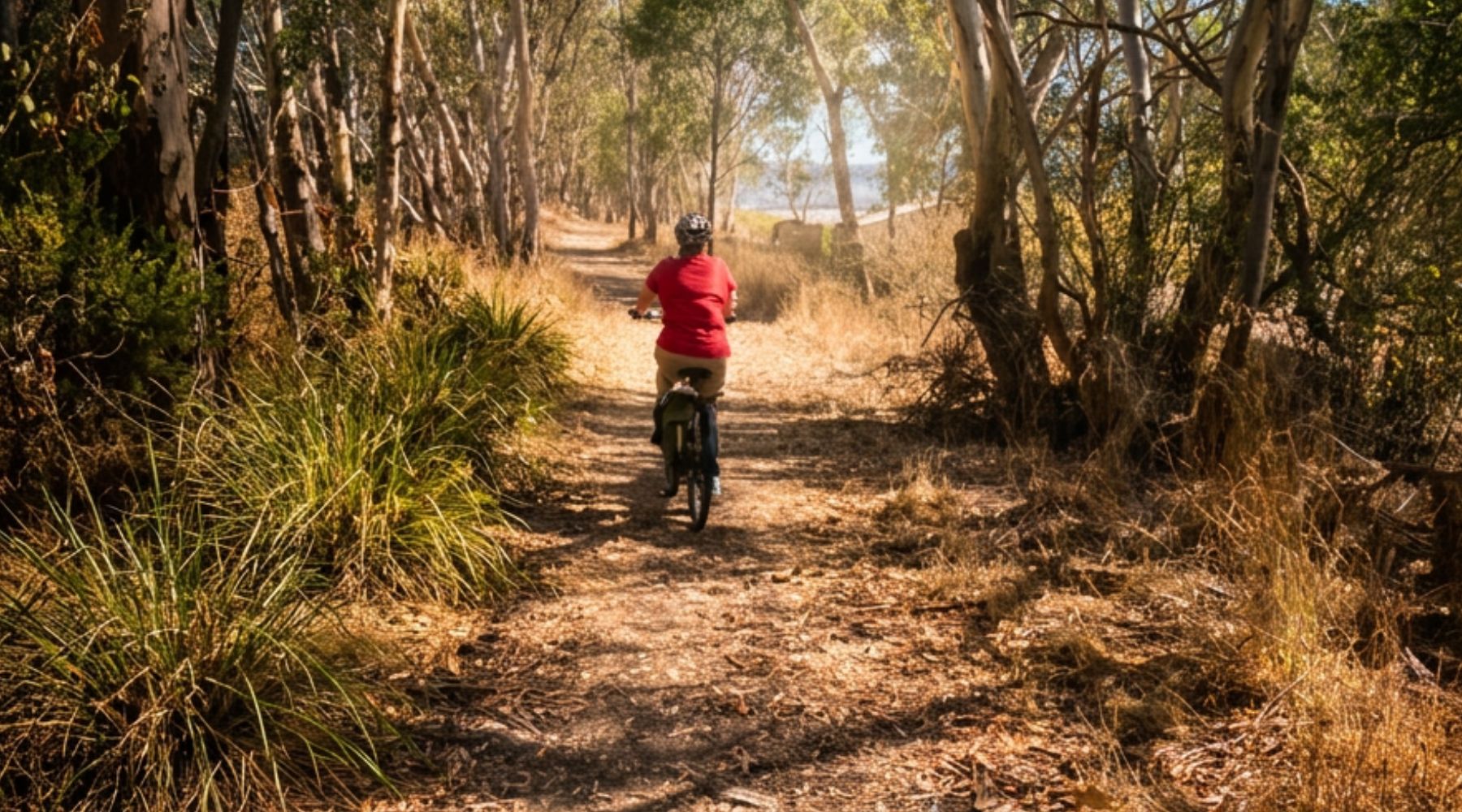 cyclist in a red shirt riding a rail trail