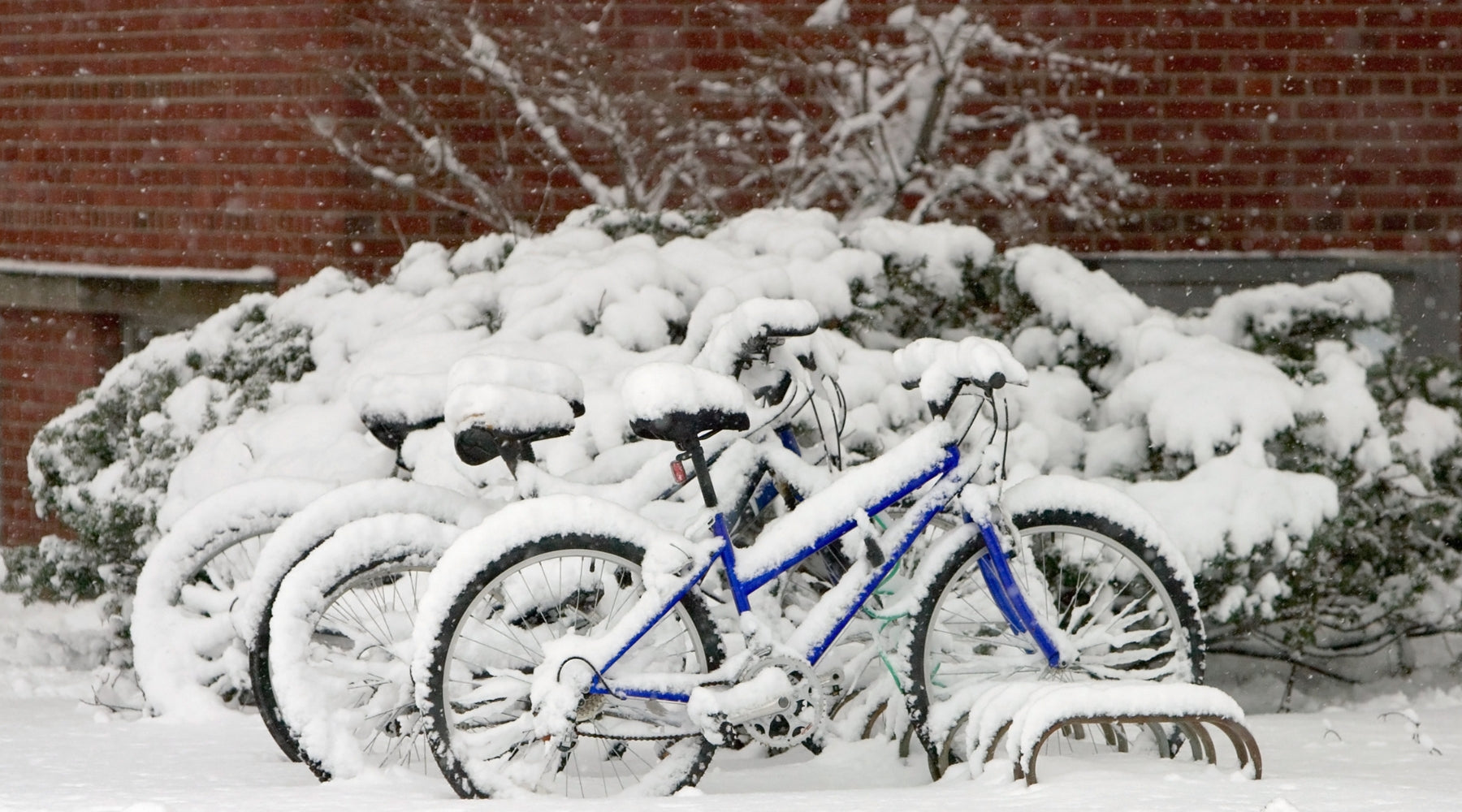 snow covering bicycles