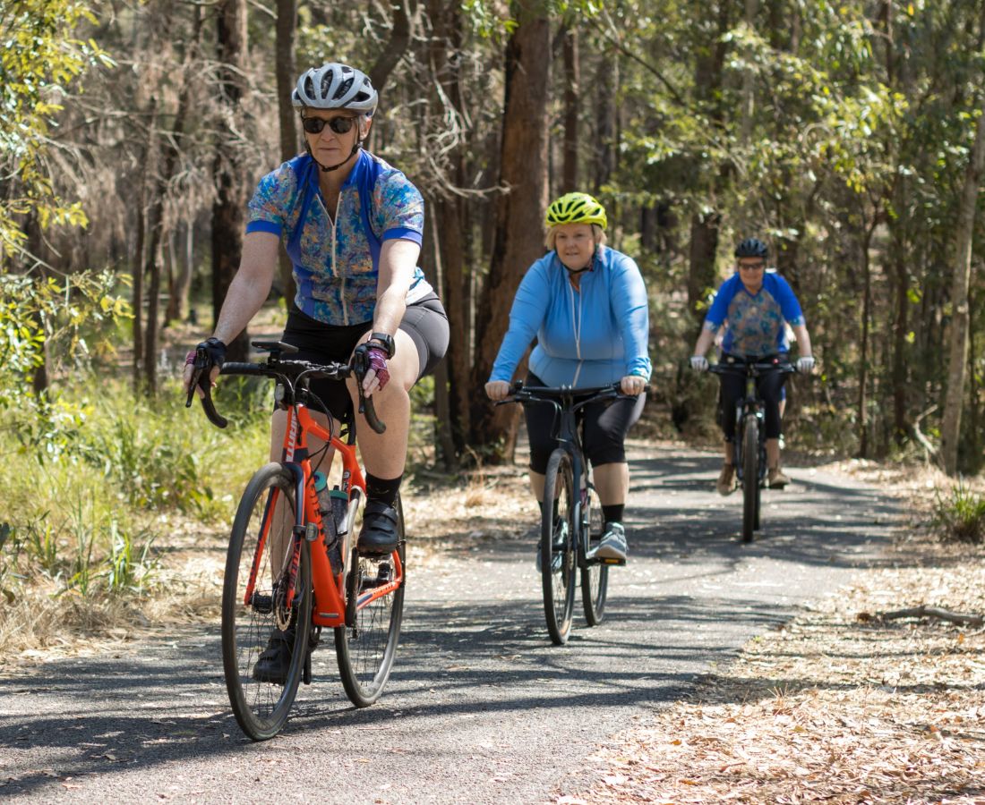 Three cyclists riding on a trail through a forest